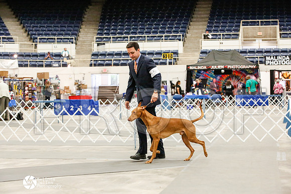 _JJ_0105-AblnMay2014-web