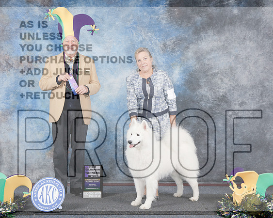 Samoyed # Sat WB NCH Judge Eric Liebes rSamoyed # Sat WB NCH Judge Eric Liebes r_WP_2845e-Alexandria LA 2025-HR3
