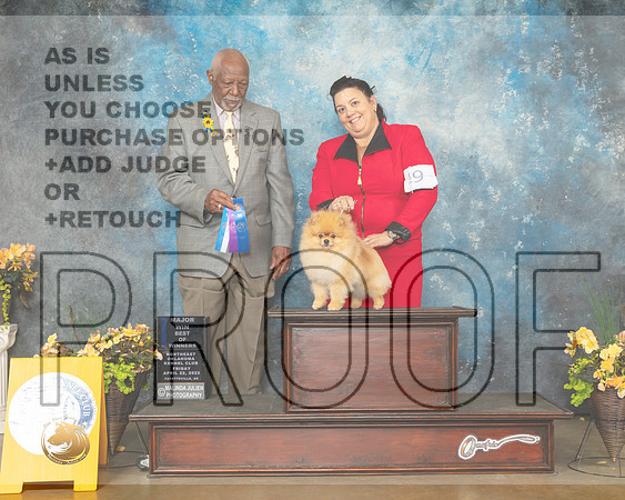 Pomeranian #19 Fri WDBOW Judge Eugene Blake-MMJ_9615-NWARK2022-HR3