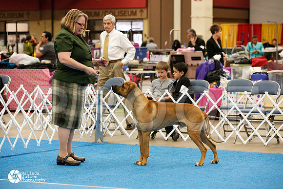 RHOD-0292-FWMar14-HR