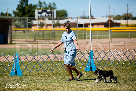 _JJ_1102-AlamogordoOct2014-HR3