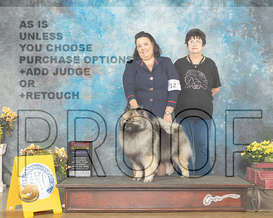 Keeshond #12 Sat WBBOSNCh Judge James Fehring-MMJ_0326-NWARK2022-HR3