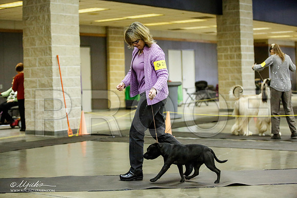 _JJ_6011-BeltonJan2015IABCA-HR3