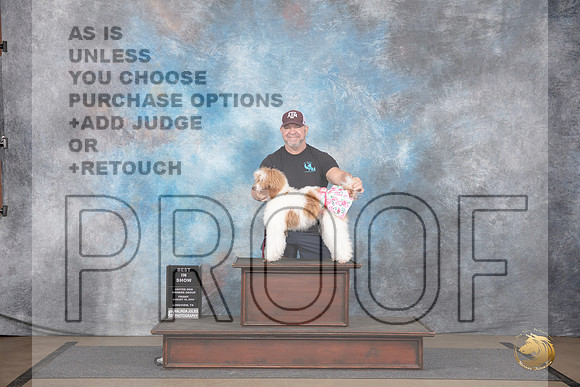 Poodle Miniature #17983 BIS Fri Judge Donald Trump__JP_2423_LongviewTX_2024_HR3