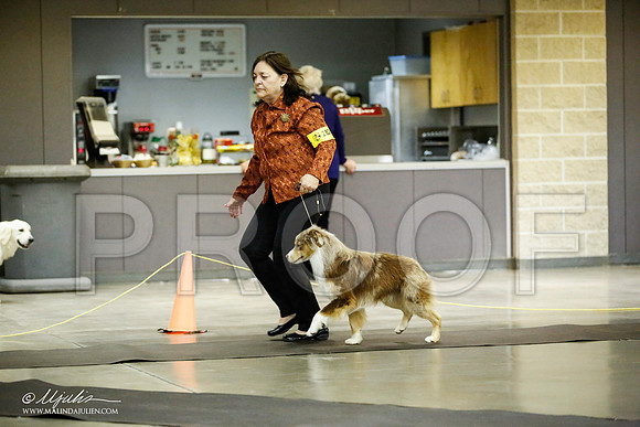 _JJ_6259-BeltonJan2015IABCA-HR3