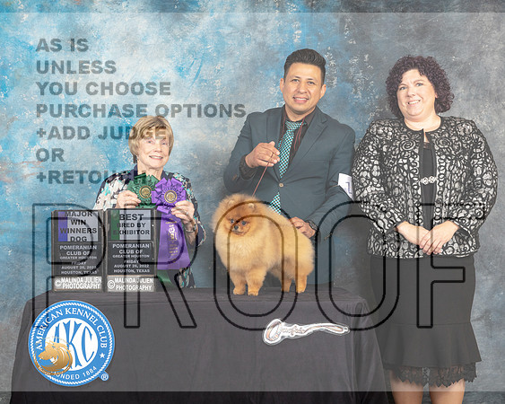 Pomeranian #11 WDMBBX Judge Sharon Masnick_MJ_9771e_HstnToy_2022_HR3