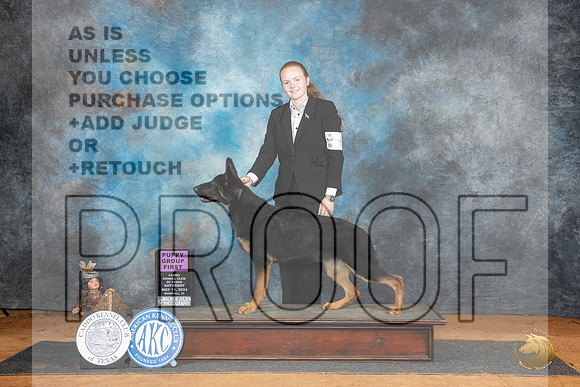 German Shepherd Dog #6 Sat PG1 Judge Robert Stein__JP_7822_MARSHALL_2024_HR3