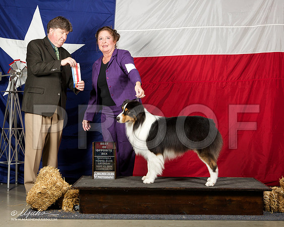 _ST_1674-AmarilloSep2014-HR3