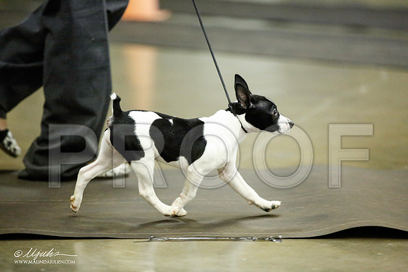 _JJ_5962-BeltonJan2015IABCA-HR3