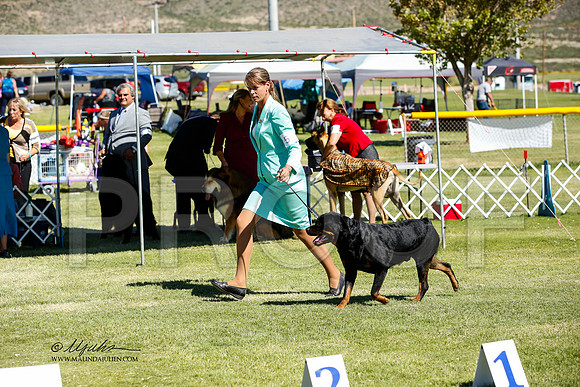 _JN_1242-AlamogordoOct2014-HR3