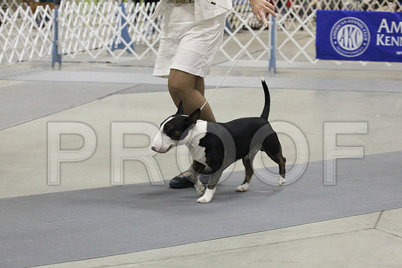 MJS_2648