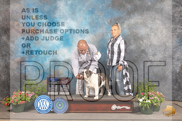 Bulldog #23 Sun BOWOHBOB Judge Debra Thornton_MJ_1137_SA_2022_HR3