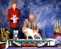 Bulldog #19 Fri Winners Dog Pinegar Spencer and Linda Elaine Andrew Robbie Slaw Judge Alane Gomez