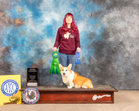 Pembroke Welsh Corgi #R9 Fri RHC
