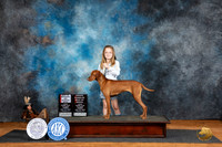 Vizsla #16 Fri WBBOSOHBOB Judge Suzanne Dillin