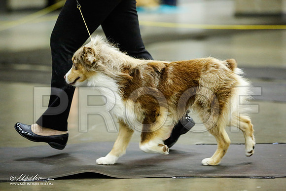 _JJ_6279-BeltonJan2015IABCA-HR3