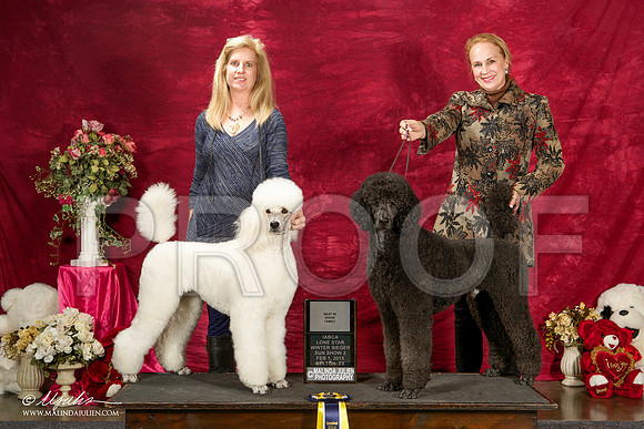 _ST_3036-BeltonJan2015IABCA-HR3