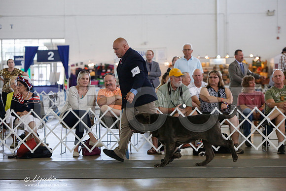 _JJ_1916-DallasJul2014-HR3