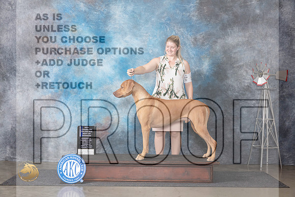 Rhodesian Ridgeback #5 Thur BOWMCH Judge Gary Andersen__JP_4855_Amarillo_2024_HR3