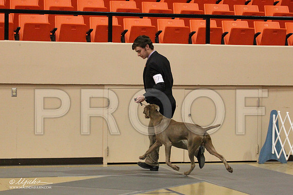Weim-0471LR