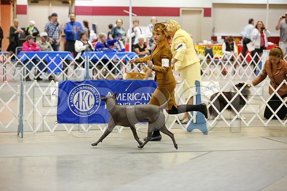 _JJ_8154-AmarilloSept2014-HR3