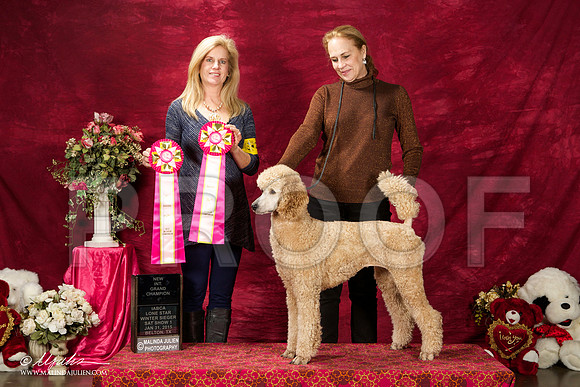 _ST_2778-BeltonJan2015IABCA-HR3