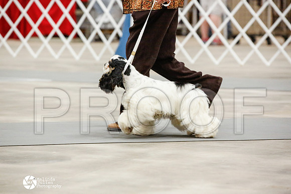 _JN_0870-AblnMay2014-web