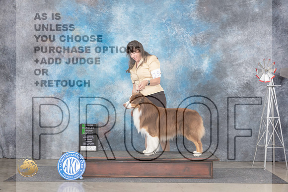 Australian Shepherd #15 Sun OHG2 Judge Jon Cole__JP_6465_Amarillo_2024_HR3