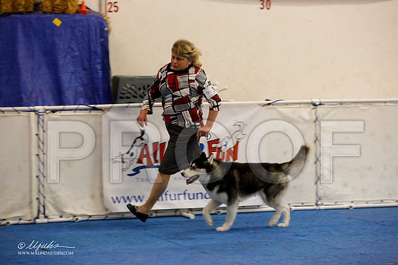 _M3_0184-AddisonHuskyMar2015-HR3
