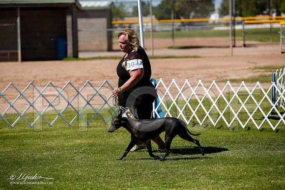 _JJ_8379-AlamogordoOct2014-HR3