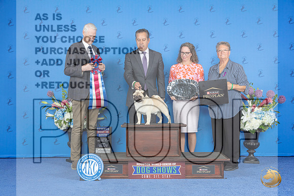 Pug #5 FRI RBIS Judge Jon Cole__JP_9600_Houston_2024_HR3