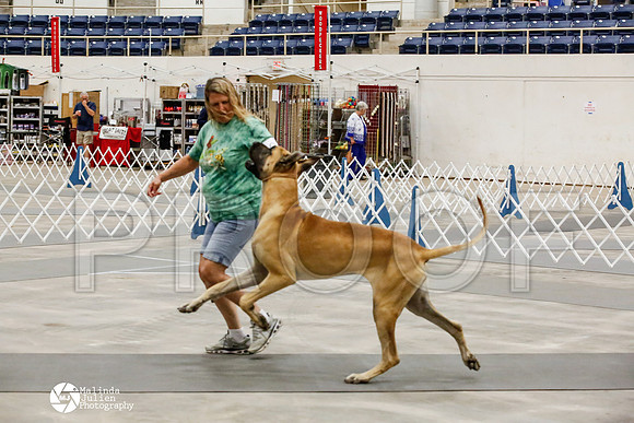 _HR_1520-AblnMay2014-web