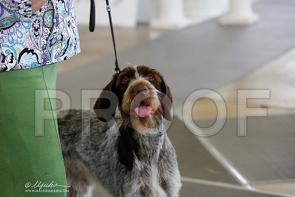 _JJ_1304-DallasJul2014-HR3