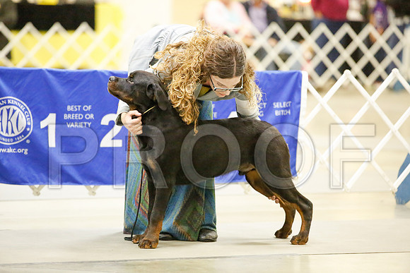 _JJ_7745-AmarilloSept2014-HR3