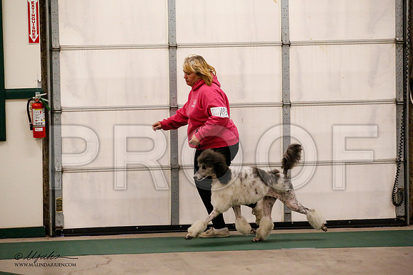 _JN_0954-NrmnNov2014-HR3