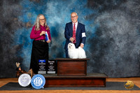 Maltese #7 Fri BOW Judge Denise Dean