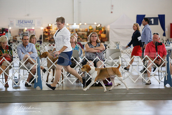 _JJ_2823-DallasJul2014-HR3