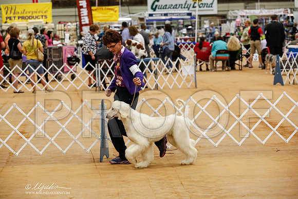 _HR_7736-TxArJun2014-HR3