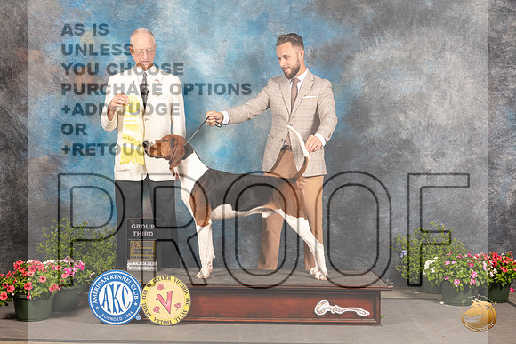 Treeing Walker Coonhound #5 Sat G3 Judge Allen Odom_MJ_0601_SA_2022_HR3