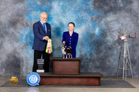 Chihuahua #J753 Thur BJr Judge Gary Andersen