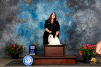 Maltese #15 Fri BOWM Judge Karen McFarlane