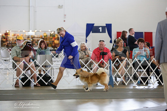 _JJ_3106-DallasJul2014-HR3