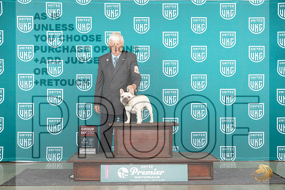 French Bulldog #1239 Fri G2 Judge Diane Price__JP_1824_Premier_2024_HR3
