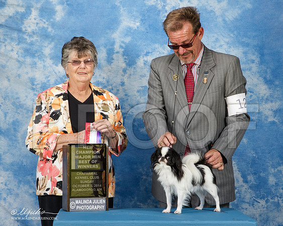 _ST_3129-AlamogordoOct2014-HR3