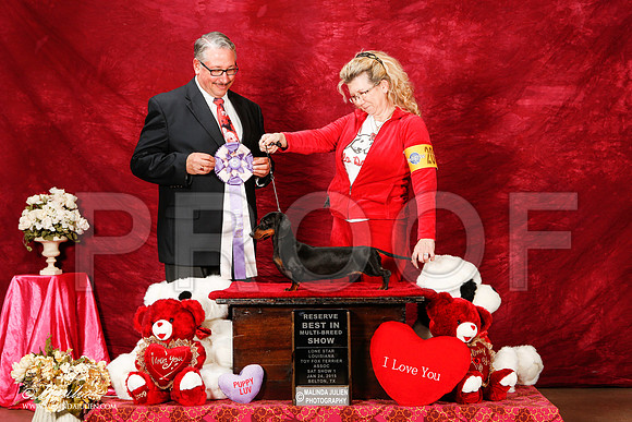 _ST_2156-2-BeltonJan2015-HR3