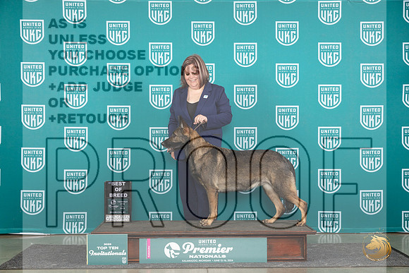 German Shepherd Dog #298 THur T10BOB Judge Stephanie Mueller__JP_0938_Premier_2024_HR3