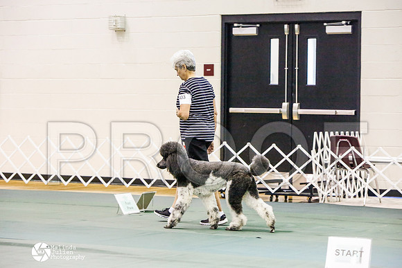 _JJ_3498-BsrCtyJun2014-HR3