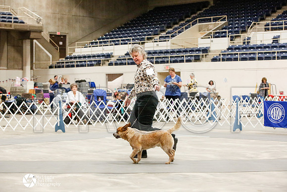 _JJ_9593-AblnMay2014-web