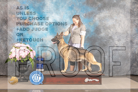 German Shepherd Dog #21 SAT WD BOW Judge Janet Fink_MJ_6531_Houston_2022_HR3