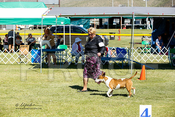 _JN_1122-AlamogordoOct2014-HR3